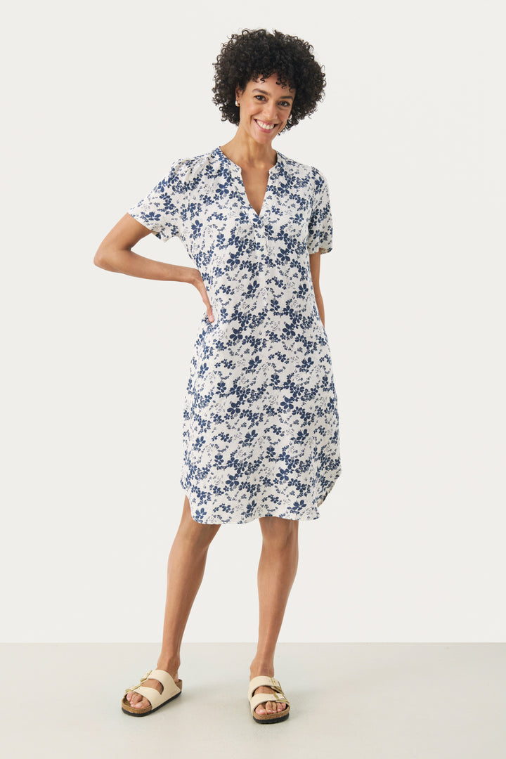 Aminase dress