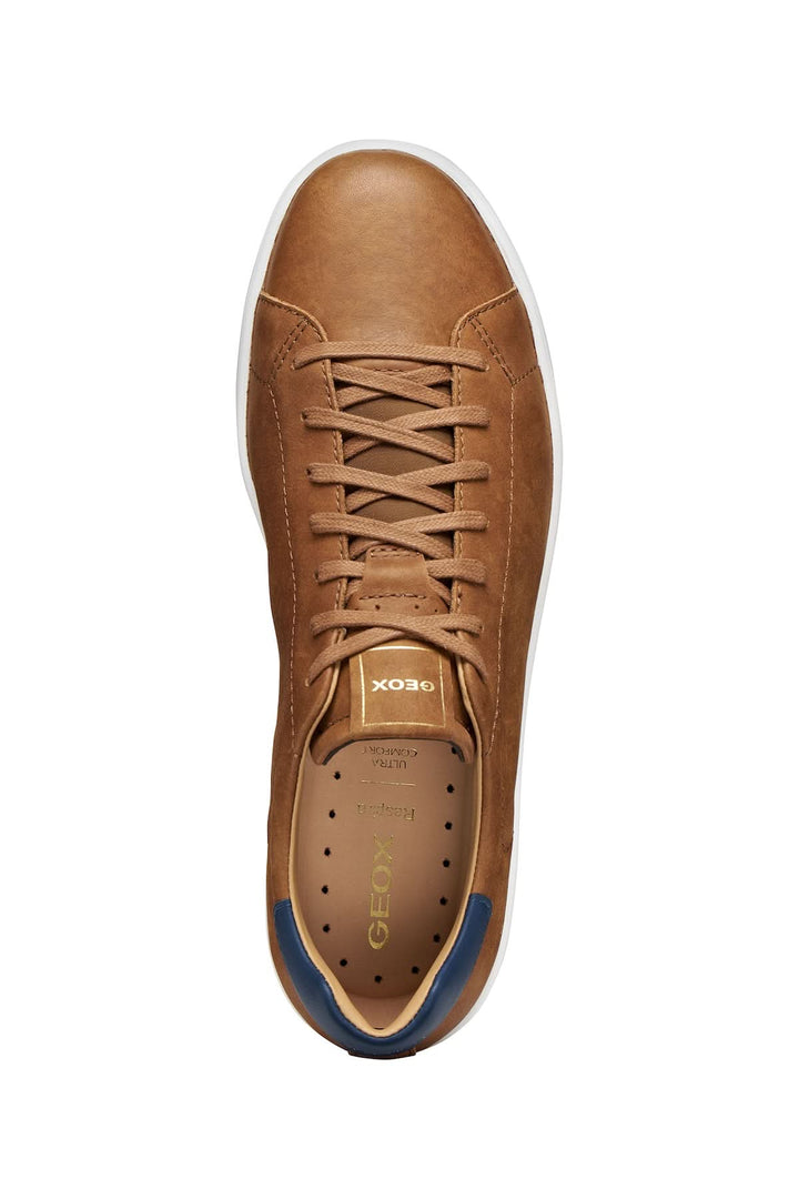 Sneakers en cuir respirant avec lacets marron et détail contrastant au talon, vue de dessus