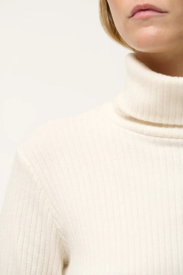 Ribbed Turtleneck