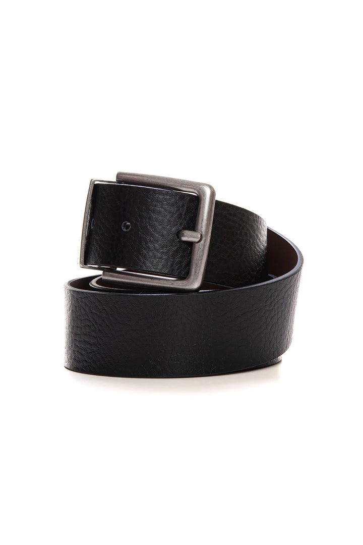 2-color reversible belt