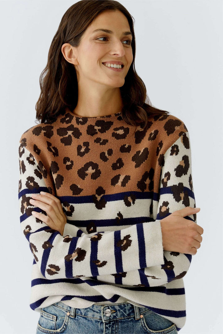 Sweater with mixed stripes and animal print pattern